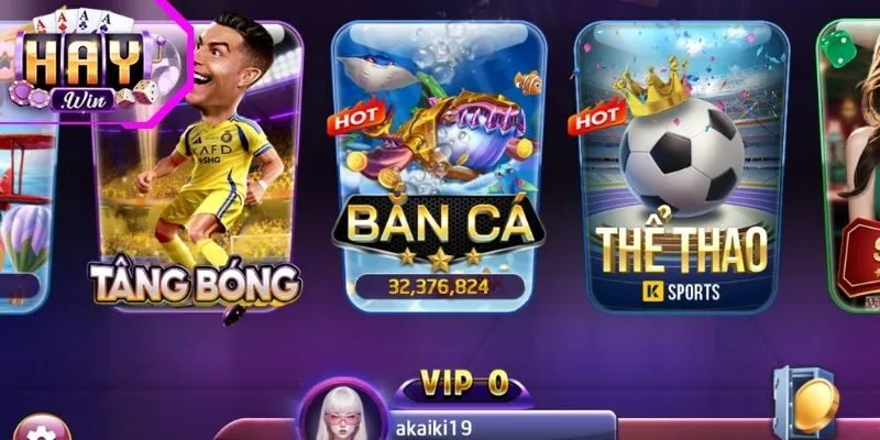 Tổng quan về bắn cá Haywin