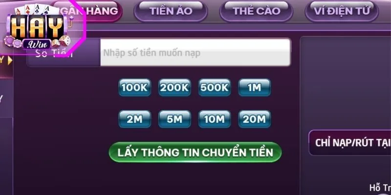 Haywin hỗ trợ những hình thức nạp tiền nào?