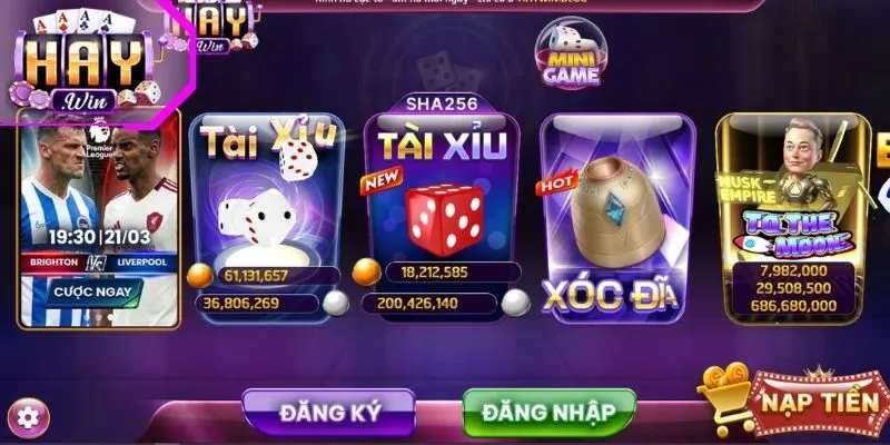 Một số lưu ý quan trọng khi đăng nhập Haywin