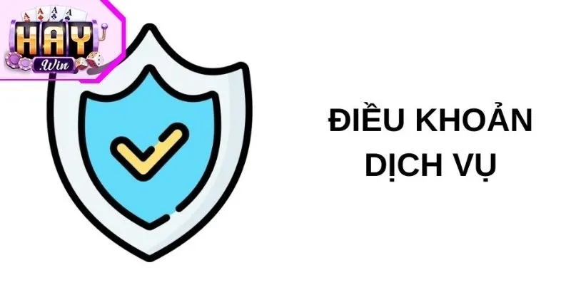 Tổng hợp nội dung điều khoản