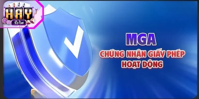 MGA đảm bảo an toàn Haywin