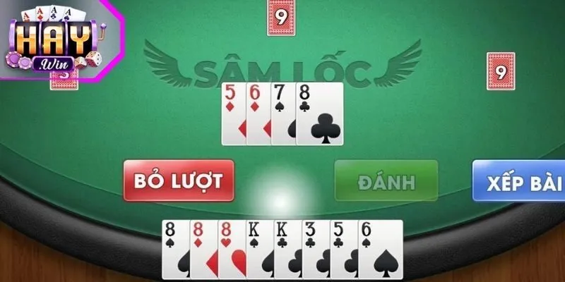 Tổng quan về Sâm lốc Haywin