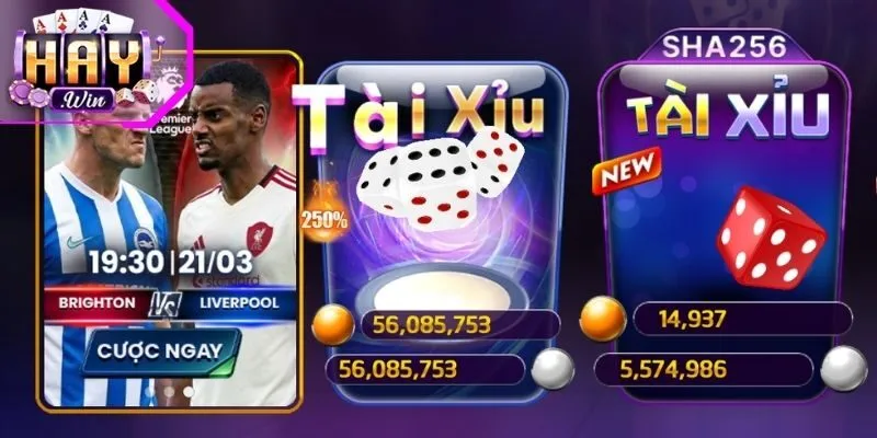 Tổng quan game Tài Xỉu Haywin